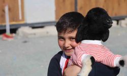 Annesi doğumda telef olan 'Boncuk' kuzu, elbisesi ve biberonuyla ilgi odağı oldu