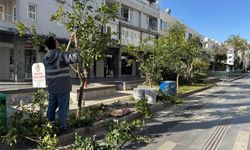 Büyükşehir'den Kemer'de peyzaj düzenlenesi