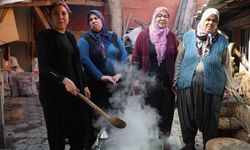 Doğada Zehirli Sofrada Şifa: Tırşik Zamanı