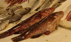 Hint Okyanusu’ndan Mersin Tezgahlarına