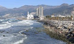 İskenderun Körfezi'nde denizde çekilme korkutuyor