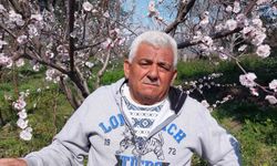 Mut Beyaz Gelinliğini Giydi: Kayısı Ağaçları Erken Çiçek Açtı