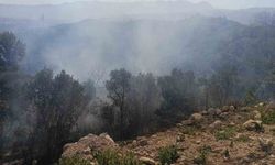 Hatay Samandağ’da Orman Yangını Büyümeden Kontrol Altında