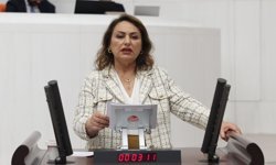 CHP’li Şevkin’den Mecliste Sert Çıkış: Bir Nesil Gidiyor!