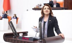 CHP’li Kış: Kanser Hastaları İlaç Değil Çaresizlik Buluyor