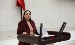 Dr. Müzeyyen Şevkin: Okullarda Can Güvenliği Kalmadı