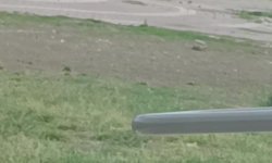 Adana'da tüfekli sopalı kavga kamerada