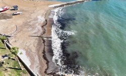 Alanya'da sahildeki siyah tabaka önce tedirgin etti, gerçek sonradan ortaya çıktı