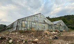 Antalya'da kış karpuzu hasadı için geri sayım başladı