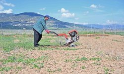 Büyükşehir ipek böceği yetiştiriciliğini yaygınlaştırıyor