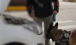 Isparta'da 1 haftalık narkotik operasyonlarında 4 şüpheli tutuklandı