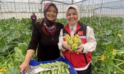 Kadın çiftçi hem üretiyor hem ihraç ediyor hem de pazarda satıyor