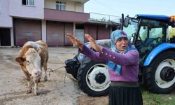 Kozan'daki selde hayvanları telef olan kadın: 'Bir anda sel geldi, ahırın üstünü aştı'