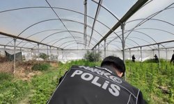 O Araziye Şafak Baskını: Binlerce Kök Yasaklı Madde Çıktı