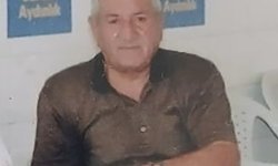 Osmaniye'de tır ile hafif ticari aracın çarpıştığı kazada yaralanan sürücü hayatını kaybetti