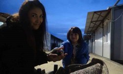 Su kanalında doğum yapan kedi ve 3 yavrusunun yeni yuvası depremzede ailenin konteyneri oldu