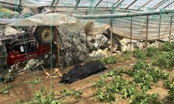 Traktör yol kenarındaki seraya devrildi: 1 ölü