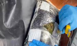 Mersin'de Narkotik Operasyonu: 24 Kilo Esrar Ele Geçirildi
