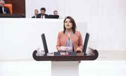 CHP’li Gülcan Kış’tan Kurban Bayramı Mesajı