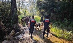 Antalya'da sürüden ayrılıp kaybolan 41 keçi jandarma tarafından bulundu