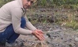 Dere yatağında mahsur kalan köpek ile toprak altındaki kaplumbağa kurtarıldı