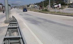 Firari koyun sürüsü kara yoluna çıkıp, üst geçidi kullandı