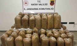 Hatay'da Jandarma'dan geniş çaplı asayiş operasyonu
