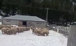 Kar kalınlığı 1 metreye ulaştı, mahsur kalan vatandaş kurtarıldı