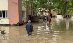 Osmaniye'de sağanak etkili oldu, evleri ve tarlaları su bastı