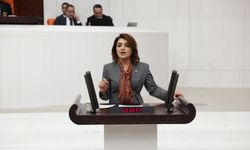 Gülcan Kış: "Kültür Yolu AKP'nin Şovuna Dönüştü"