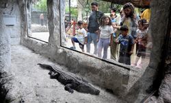 Tarsus Doğa Parkı Bayramda Ziyaretçi Akınına Uğradı