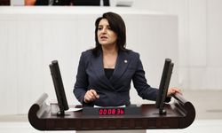 Gülcan Kış: "İkramiye Bir Kurbanlık Bile Etmiyor"