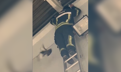 Ayağı ipe dolanan güvercin, itfaiyenin müdahalesiyle kurtuldu