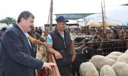 Toroslar Kurban Pazarı İçin Kritik Uyarı: “Tahsis Sorunu Çözülmeli”