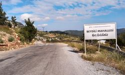 Asırlık Beydili Geçidi Ne Zaman Yapılacak?