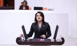 Gülcan Kış: Büyüyen Ekonomi Değil Vatandaşın Borcu