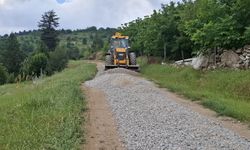 Toroslar Belediyesi Kırsal Mahallelerde Yol Seferberliği Başlattı
