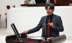 DEM Partili Bozan’dan Cezaevleri İçin Soru Önergesi