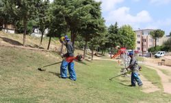 Toroslar'da Belediye Ekiplerinden Kent Estetiği Mesaisi