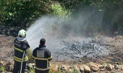 Antakya'da zeytinlik alan yangını