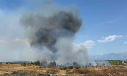 Antalya'da orman yangını: Havadan ve karadan müdahale