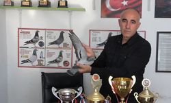 Kars'tan Osmaniye'ye Uçtu: Akdeniz Şampiyonu Güvercin