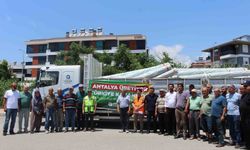 Gazipaşa'da afetzede çiftçiye can suyu: Dev hibe dağıtıldı