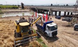 Hatay'da 'her tohum bir gıda' projesinde ekilen buğday hasat edildi