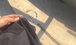 Mersin'de Tesettür Mayo Krizinde Tutuklama