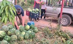 Hayırsever çiftçinin tarlası bu yıl öğrencilerin için hasat edildi