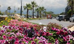 İskenderun sahili renkli çiçeklerle süslendi.
