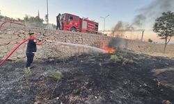 Kırıkhan'da zeytinlik alan yangını