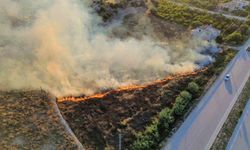 Mersin'de korkutan bahçe yangını: Evlerin sınırından döndü