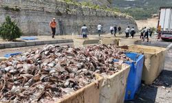 Silifke’de Tırdan 15 Ton Balık Atığı Saçıldı